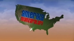 Xitoy-meksikalik-amerikaliklar - Chinese Mexican Americans