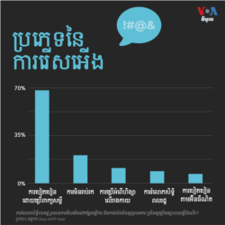 ប្រភេទ​នៃ​ការ​រើស​អើងជនជាតិ​អាស៊ី​នៅ​សហរដ្ឋ​អាមេរិក រួម​មាន​ការ​បៀតបៀន​ដោយ​ប្រើ​ពាក្យ​សម្តី ការ​មិន​រាប់រក ការ​ប្រើ​អំពើ​ហិង្សា​លើ​រូបរាង​កាយ ការ​រំលោភ​សិទ្ធិ​ពលរដ្ឋ និង​ការ​បៀតបៀន​តាម​អ៊ីនធឺណិត។ (VOA News)