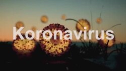 Koronavirus issiq haroratga chidamsizmi?