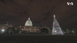 Як "Щедрик" став символом Різдва у США. Відео