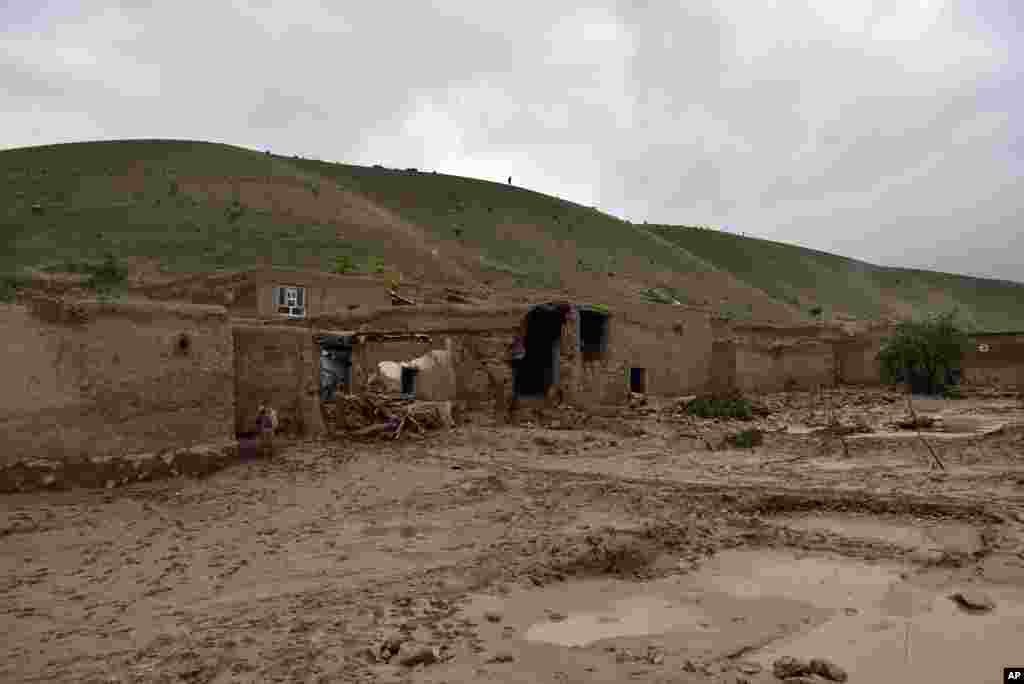 مقامات طالبان در ولایت&zwnj;های قندرها و فراه از جان باختن حد اقل ۲۹ نفر در اثر سیلاب&zwnj;های ناشی از باران های شدید در این دو ولایت خبر دادند.