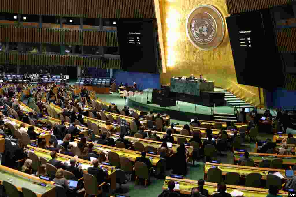 دو قطعنامه از سوی اوکراین و ایالات متحده روز دوشنبه در سازمان ملل متحد به رای گیری گذاشته شد.