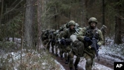 Литовські військові на навчаннях НАТО