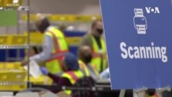 美国总统选举引盟友国家密切关注