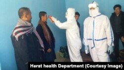 د ملکي هوايي چلند اداره زیاتوي چې سرغړوونکي شرکتونه به د حکومت له قانوني چلند سره مخامخ شي.