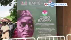 Manchetes africanas: Baleia morta deu à costa na Cidade do Cabo