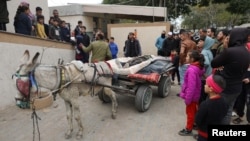 Palestinos observan el traslado de cuerpos en una carreta jalada por un famélico asno en las afueras del Hospital Europeo Khan Younis, en el sur de Gaza este 23 de enero. Organismos internacionales alertan sobre la escases de medicinas y alimentos.
