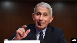 Dr. Anthony Fauci, director of the National Institute for Allergy and Infectious Diseases, testifies before a Senate Health, Education, Labor and Pensions Committee hearing on Capitol Hill in Washington, June 30, 2020. 
