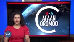 Tamsaasa Guyaadhaa Guyyaa