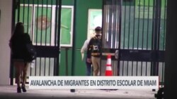 Ola de inmigrantes impacta a las escuelas públicas de Miami-Dade