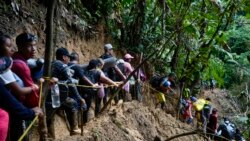 En Colombia se cuadruplicó la cifra de migrantes que atraviesan la selva del Darién hacia Centro América rumbo a los Estados Unidos.