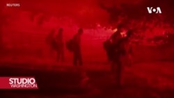 SAD: Globalno zagrijavanje uništava šume