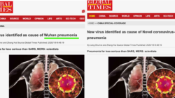 官媒《環球時報》英文版刪除改標題中的“武漢肺炎”（網絡截圖）