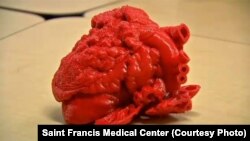 Model jantung 3 Dimensi. (Foto: Ilustrasi)