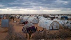 ኬንያ ስላሉ ስደተኞች ጉዳይ የመንግሥታቱ ድርጅት መልዕክት