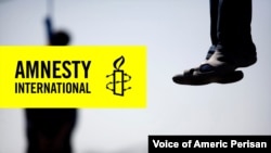 به گزارش سازمان عفو بین‌الملل در سال ۲۰۲۰ دست کم ۲۴۶ نفر در ایران اعدام شدند