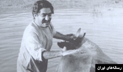 عزت الله انتظامی در فیلم گاو ساخته داریوش مهرجویی