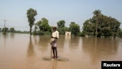 Flood victim stands in flood waters following heavy rain in Jhang, Punjab province, Sept. 11, 2014.