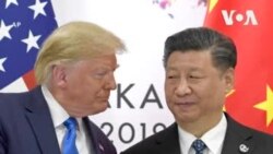 中日韓領導人電賀特朗普 習近平盼 “妥善管控分歧” 