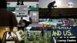 No todos viven la pandemia y las reaperturas de la misma forma, aquellos que no pueden trabajar o han recibido ayuda sufren los efectos colaterales del virus.