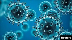 似曾相識又一年。新冠病毒最新變異毒株奧密克絨給準備度假過節的全球民眾帶來新的威脅。