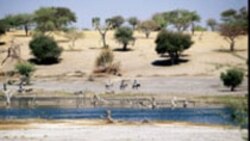 Dominique Burgeon joint par Abdourahmane Dia