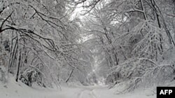 snow covered highway