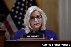 Kongress a'zosi Liz Cheyni, Vayoming shtatidan saylangan respublikachi, Trampning ashaddiy tanqidchilaridan biri
