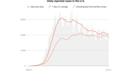 ინფიცირების დღიური მაჩვენებელი