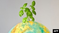 Забруднення повітря завдає величезних збитків