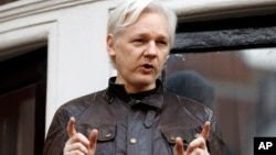 “維基解密”創始人阿桑奇（2017年5月19日資料照片）