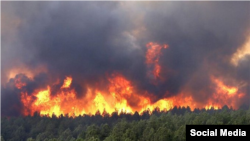 جنگل‌های هیرکانی، استان مازندران ایران