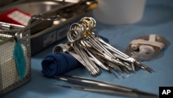 ابزار جراحی آماده برای پیوند کلیه - آرشیو