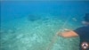 Seorang penyelam memotong tali yang mengikat penghalang apung di laguna Scarborough Shoal yang menghalangi kapal-kapal nelayan Filipina untuk memasuki laguna di kawasan yang disengketakan di Laut China Selatan, Selasa, 26 September 2023. (Foto: Garda Pantai Filipina via AP)