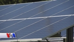 Yangilanuvchi energiya