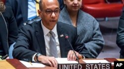 Robert Vud, zamenik američke ambasadorke pri UN