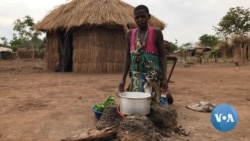 Fugir para não ser cúmplice de rebeldes - o drama no centro de Moçambique