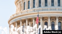 د متحدو ایالتونو د کانګرس مانۍ