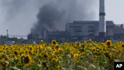 Russia Ukraine War Cooking Oil