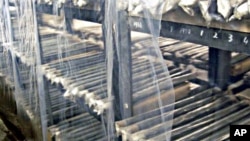 A traveler couple kiss as they sit on a large pot with sunflowers outside Schiphol Airport's passenger terminal in Amsterdam, the Netherlands.