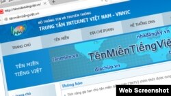 A screenshot of the Vietnam Internet Network Information Center website with the Vietnamese domain.
