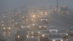 Texas shtatidagi suriyalik qochqinlar - Navbahor Imamova