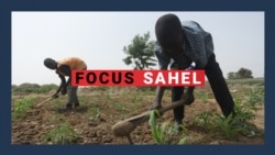Focus Sahel : au Nigeria, une initiative pour les déplacés à Benue