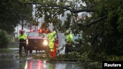 Crews with the Charleston Fire Department clear a fallen tree during Hurricane Dorian in Charleston, South Carolina, Sept. 5, 2019.