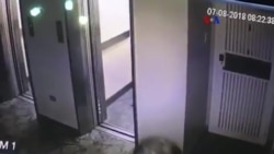 Oposición venezolana se reunifica en apoyo a Requesens