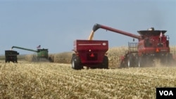 Paralelamente, la cantidad de granjeros blancos disminuyó un 10% entre el 2002 y el 2007.