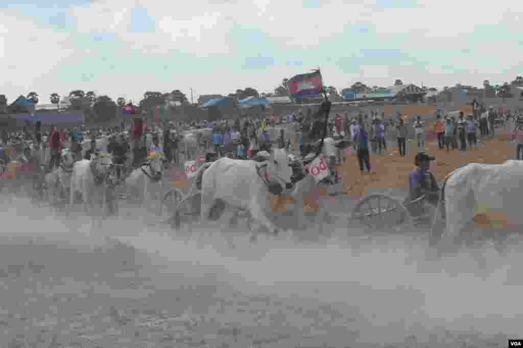 សកម្មភាព​​ក្នុង​ពេលប្រណាំង​រទេះ​សាឡីគោ​នៅ​ឃុំ​រលាំងគ្រើល ស្រុក​សំរោងទោង ខេត្ត​កំពង់ស្ពឺ កាល​ពី​ថ្ងៃ​ទី​០៧ ខែមេសា ឆ្នាំ​២០១៩។ (ណឹម សុភ័ក្រ្តបញ្ញា/VOA)