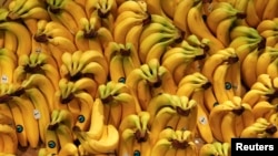 Organic bananas are pictured in an organic supermarket in Berlin, Germany, January 2013. (REUTERS/Fabrizio Bensch)