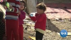 Migratsiya va iqlim o'rtasida qanday aloqa bor?