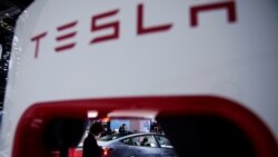 中國一些地方政府要求員工不要擁有特斯拉汽車